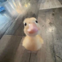 grừ grừ gâu gâu =)