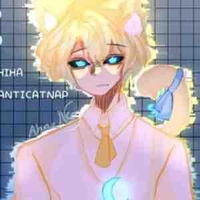 Hiha anti catnap