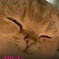 t/g _mom kudo_ hina báo 😇_