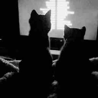 ꧁༺𝘕𝘨𝘢𝘯…༻꧂ ( đg buồn thì lôi ra )