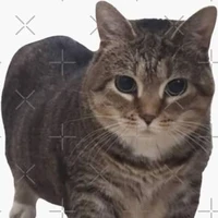 t/g (uia cat)