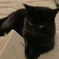 BlackCherri{Hệ thống}