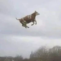 All mn ở đó trừ ai tự bt