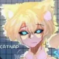 anti catnap