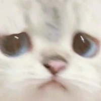 New York City Mãi Đỉnh