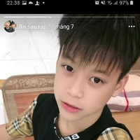 Nguyễn gia bảo (su)