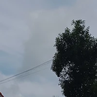 tacgia