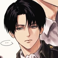 Levi