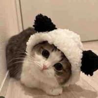 Nhỏ bựa🤡