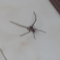 HeThong_