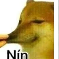 nhân vật chính 🐕