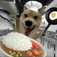 con cờ hó tg