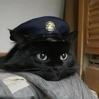 quang hùng dạng mèo