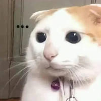 °T/g bị biến thái°