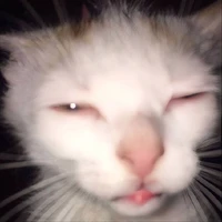 Py