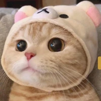 tắc giả