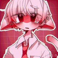 Nekomi Japan