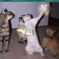 hội mồm lèo của t/g