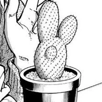 @choki