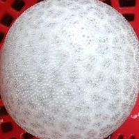 Nhân vật phụ [ Nam ] ???