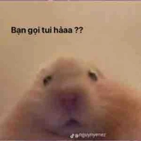 tác giả nekf