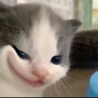 T/g lười ra chap nhất thế giới