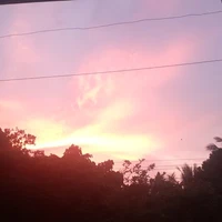 Tác giả ( Ánh Nguyệt )