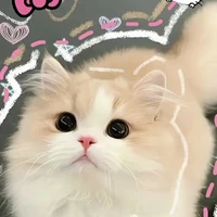 Tổn.thương >_<
