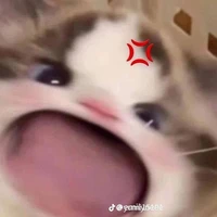 tg