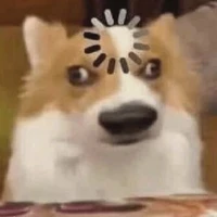 Hệ Thống Ngáo Ngơ