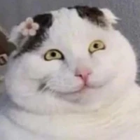 con nhí nè 😔🤌🏻