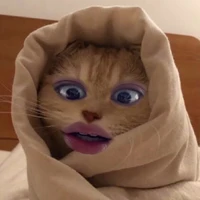 All-Trừ ai thì trừ