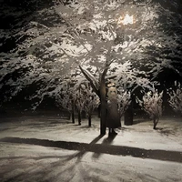 Mạc Vân Diễm - Hougyoku[ Author ]