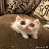 Độc giả iu quý🤡