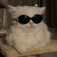 hệ thống (serena)