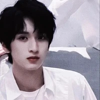 Nghiêm Hạo Tường