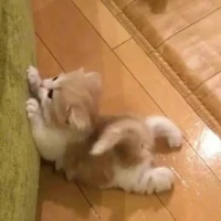 @_mangcut.nt_