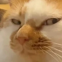 phản diện (-ai thì-)