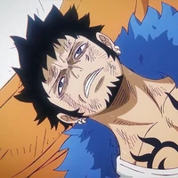 Trafalgar Law