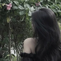 Linh Linh 