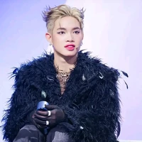 Ng Thanh Pháp (pháp kiều)