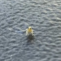 mọi người ở đó