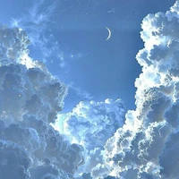 Nhân vật bất kì