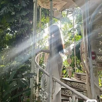 Gia Linh