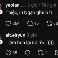 T nè