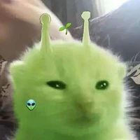 ౨ৎɴɢọᴄ⋅˚₊‧ ଳ⋆.࿔*:･ᴀɴʜ⋅˚₊‧ ଳ⋆.࿔*:･ᴀɴɴɪᴇʕ•