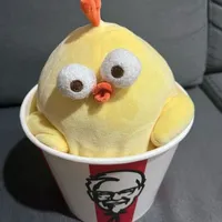 T/gà
