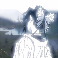 shinobu