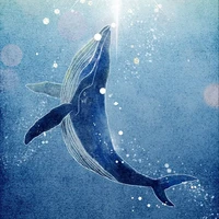 cá voi ( t/g là nam )