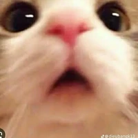 All Bot